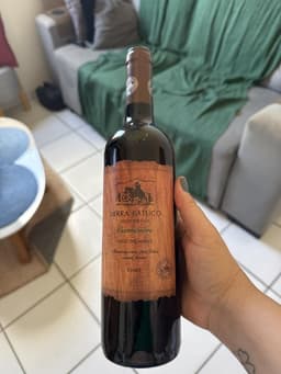 Carmenere Vinho Tinto Chileno 750ml