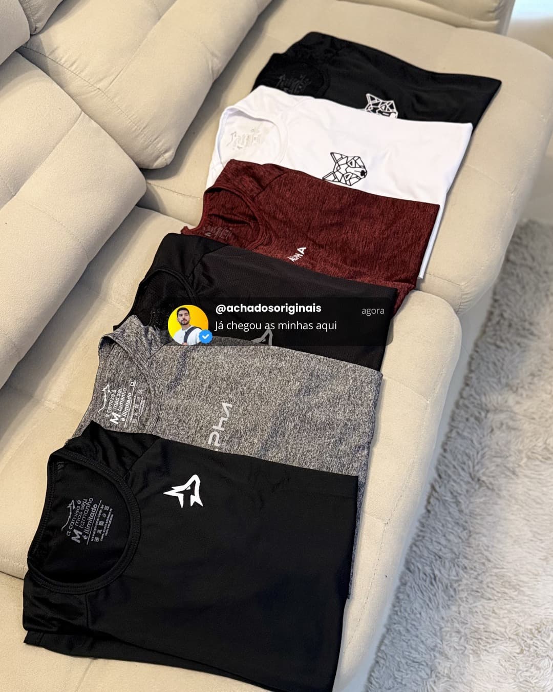 Alpha Camisetas Kit 6 Peças