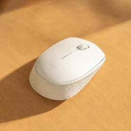 Logitech Mouse M170